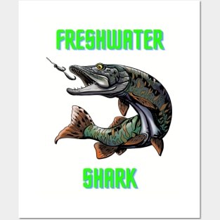 Freshwater shark Posters and Art